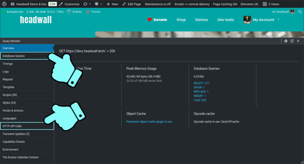 Useful speed diagnostic tools in Query Monitor